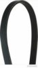 MAGNETI MARELLI 600000000770 V-Ribbed Belts